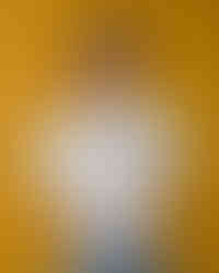 Morbido white round neck women's t-shirt with front chest design of a unicorn