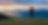 export3.png