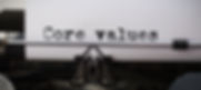 Phoenixfire Strategic Consulting, Core values, values, consultant, consulting, NYC, rescue, animal welfare, non profit