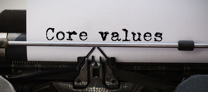 Phoenixfire Strategic Consulting, Core values, values, consultant, consulting, NYC, rescue, animal welfare, non profit