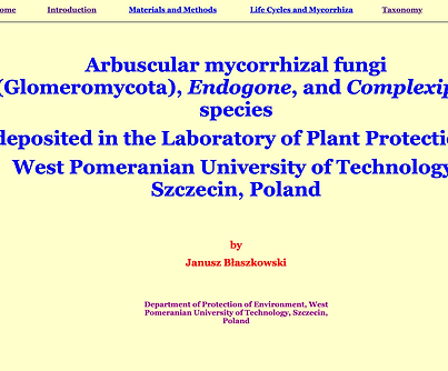 Captura de pantalla 2025-05-09 a la(s) 11.16.06 p.m..png