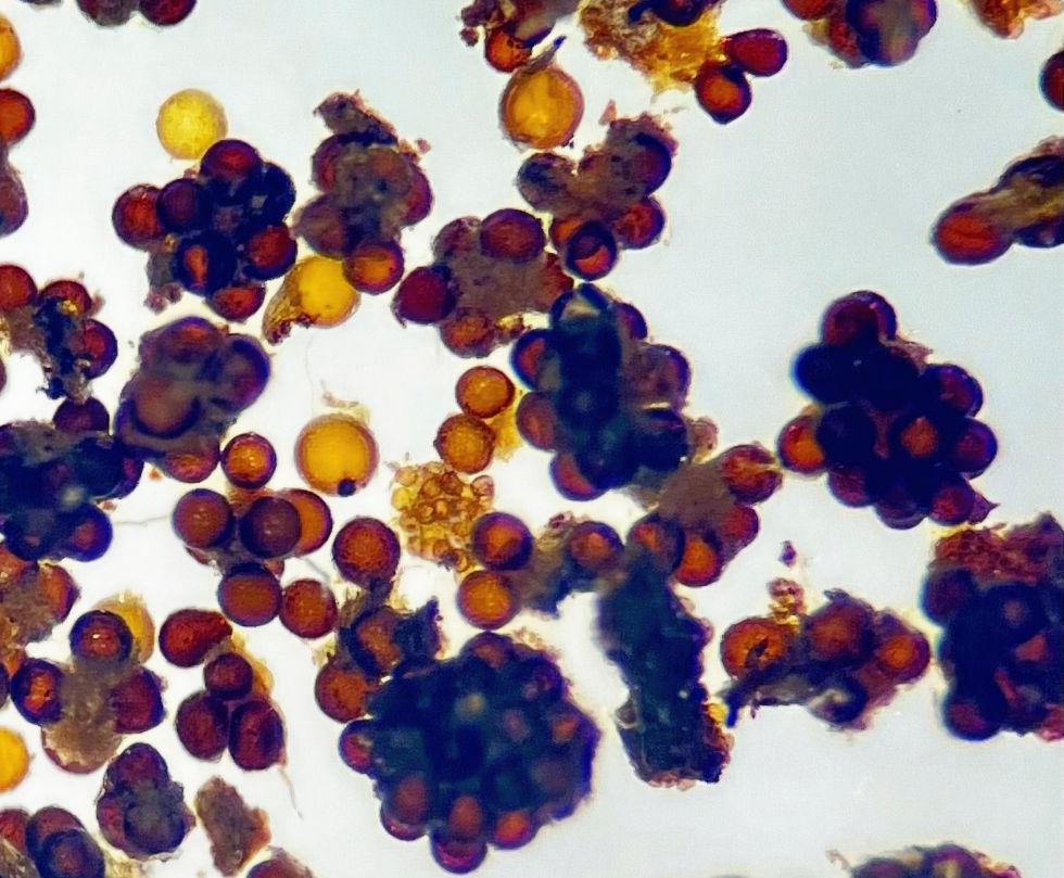 IMG_1684 2_edited.jpg