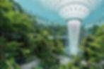 Biophilic.jpg
