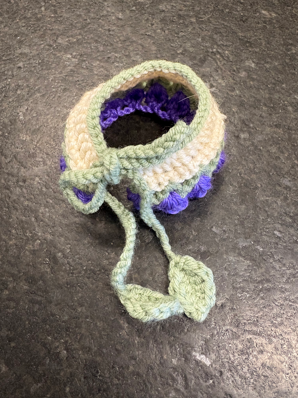 Thumbnail: Tulip: The Flower Collection