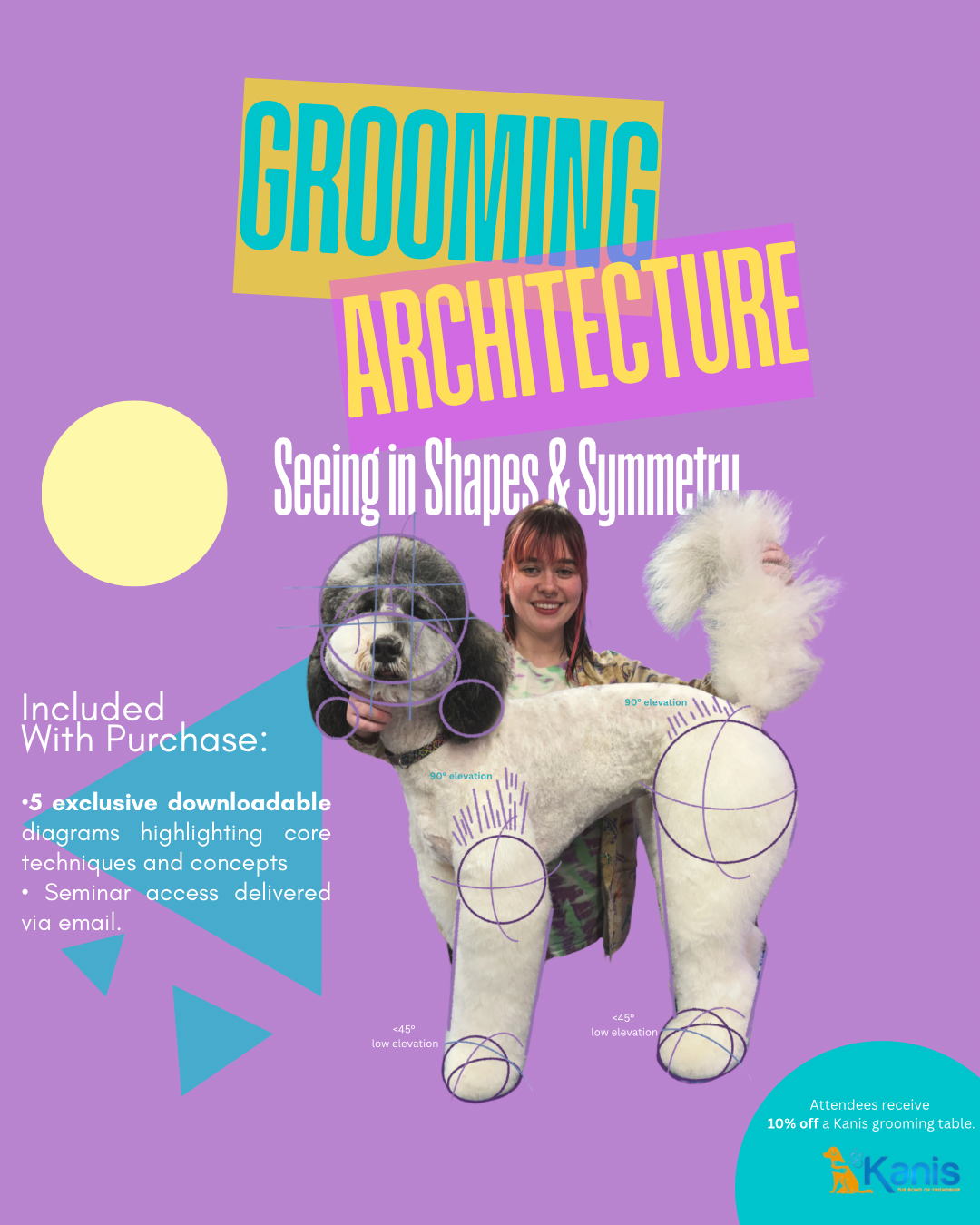 Grooming Architecture: Seeing in Shapes & Symmetry