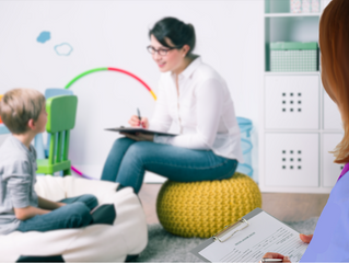 CCC-SLP Shadowing a CCC-SLP (Vol. 1): Schools