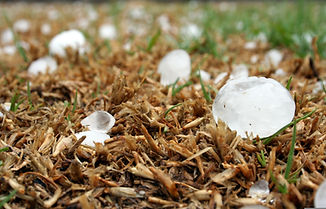 hailstone-1614239.jpg