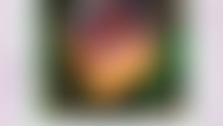 母の日限定ケーキ フランボワジエ