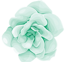 EJ Designs Interior Design Flower for Testimonial Area