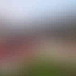 Wide shot of the rooftop during Taste of New Futures