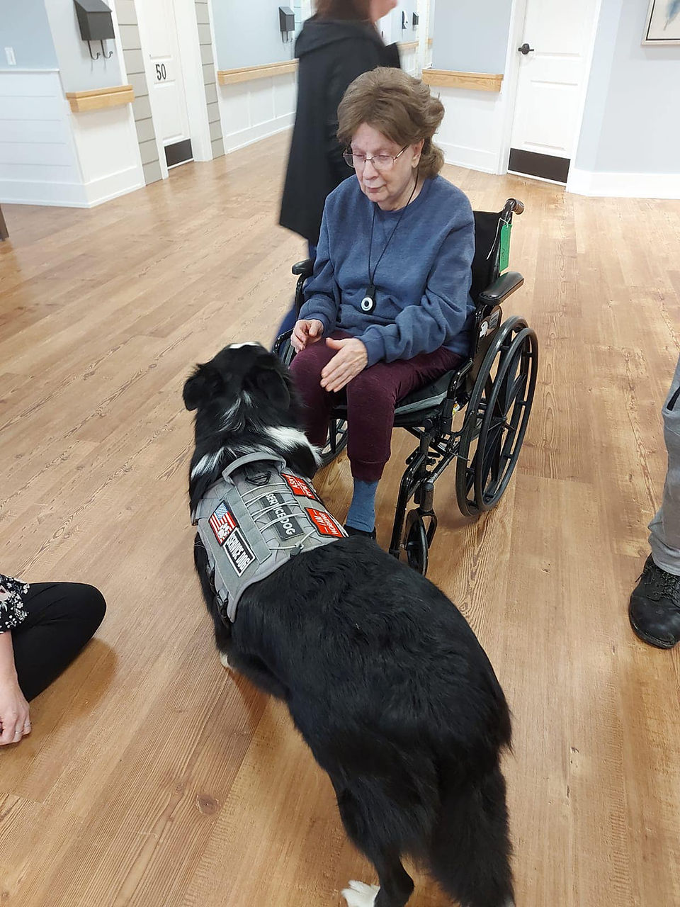 Silver Spring Personal Care Home Resident visiting with a friendly service dog who came for a visit