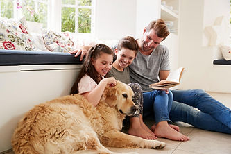 Daflure clients with their golden retriever who take advantage of their air purification for camp hill, pa home
