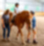 A Young Boy Riding a Horse with Volunteers walking on either side at Promise Landing Farm