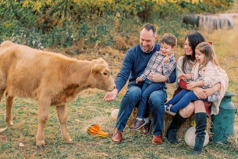 A family during a fall photo session with a miniature cow at Jessica Snider Photography in Mechanicsburg, PA
