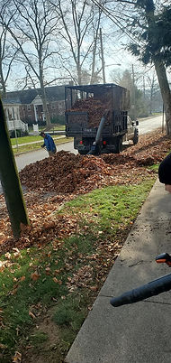 leaves being sucked up in mechanicsburg pa by potted luck landscape