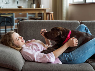 Expert Pet Odor Removal in Harrisburg, PA