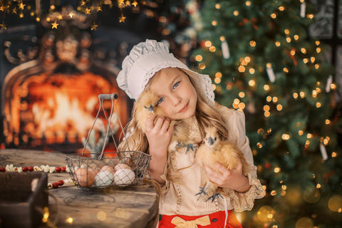 A beautiful Christmas themed farmette session with a little girl holding two baby chicks at Jessica Snider Photography's farm in Mechanicsburg, PA