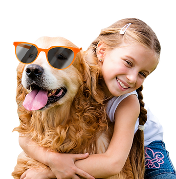 Girl and one of The Middletown Home golden retrievers at Pumpkin Fest in Middletown, PA