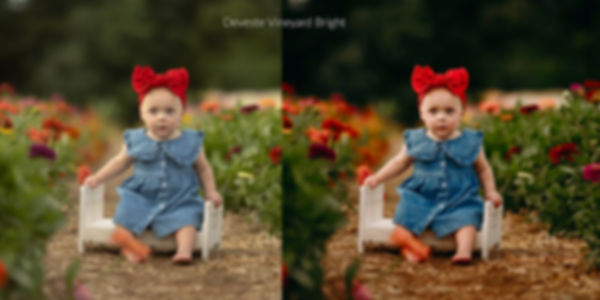 Mountain and Meadow Preset Collection
