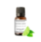 fragrance citron vert