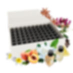 Coffret Orgue à Parfums 70 Fragrances