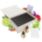 Coffret Orgue à Parfums 60 Fragrances ARTS-SET