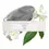 Miniature : Fragrances Accord N°11 - Cuir - Création d'un parfum ARTS-SET