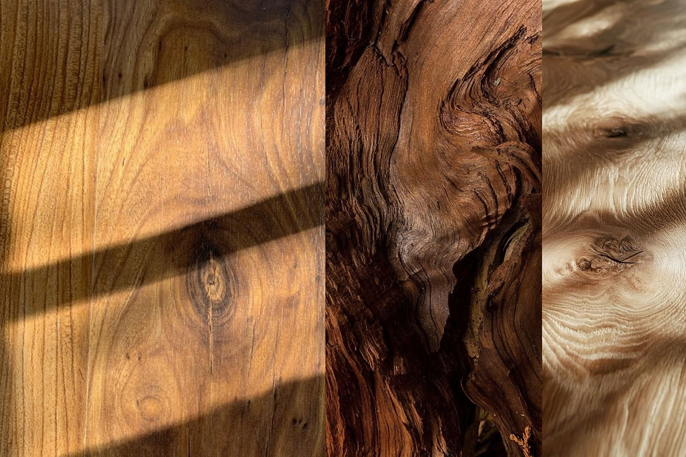 Three panels showing wood textures: left with sunlit grain, center with dark, wavy patterns, right with light, knotted swirls.