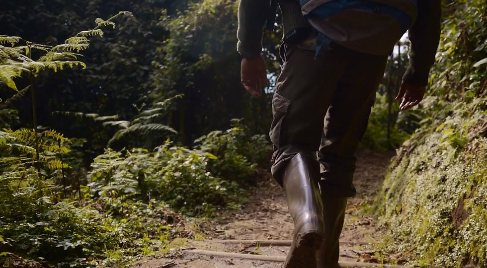 Our stunning landscapes, pleasant climate, and incredible wildlife make it an extraordinary hiking destination. The best trails are found in the western region, stretching from Volcanoes National Park in the north, along the picturesque shores of Lake Kivu, and down to the lush terrains of Nyungwe National Park in the south. Arrange your hiking trips with Hyperlocal.