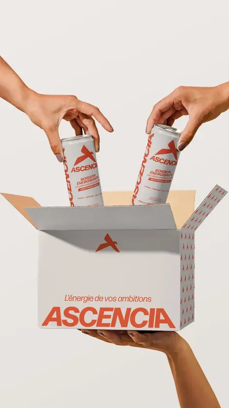 Projet Ascencia par une directrice artistique freelance