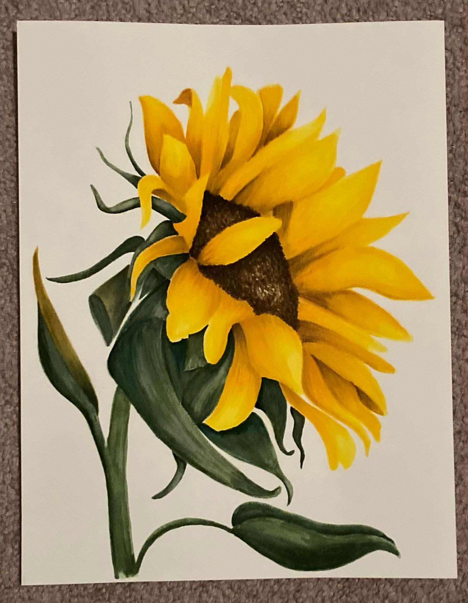 Sunflower