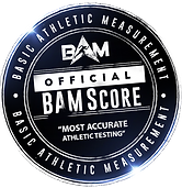 official bam stamp-WITH SHINE (2).PNG