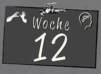 Woche12-Titel.jpeg