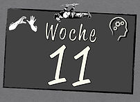 Woche11-Titel.jpeg