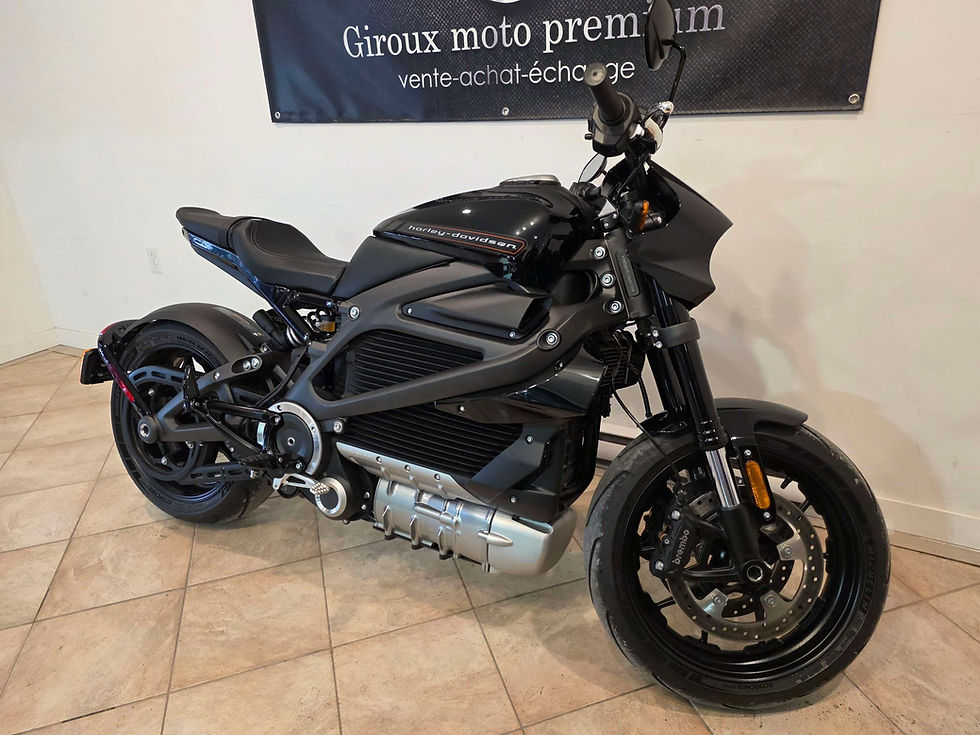 Miniature : 2020 HARLEY-DAVIDSON LIVEWIRE (électrique)
