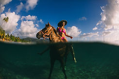Horse Back Riding.jpeg