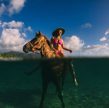 Horse Back Riding in Dominica