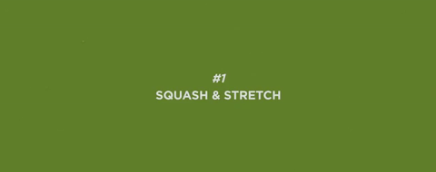 1_Squash-and-stretch.gif