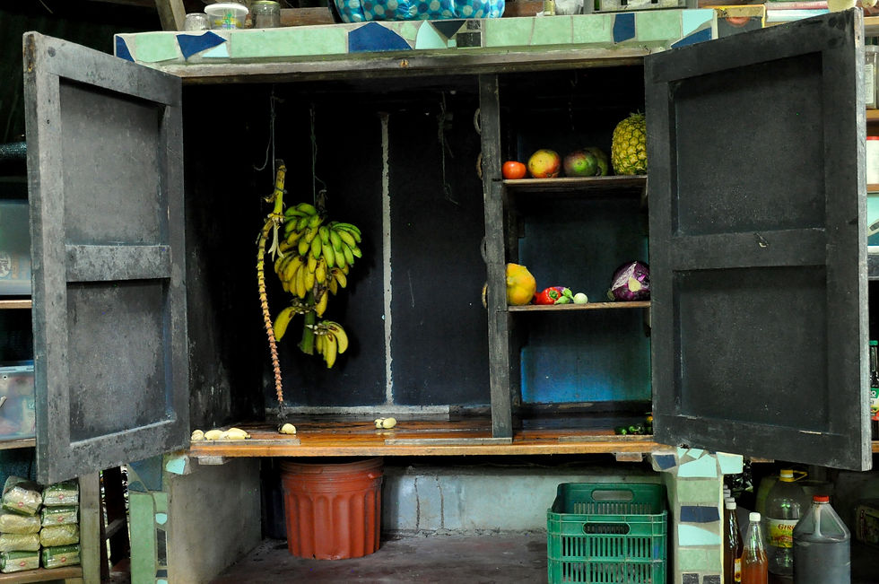 The 'fruit and veg cupboard ' at the Yoga Farm
