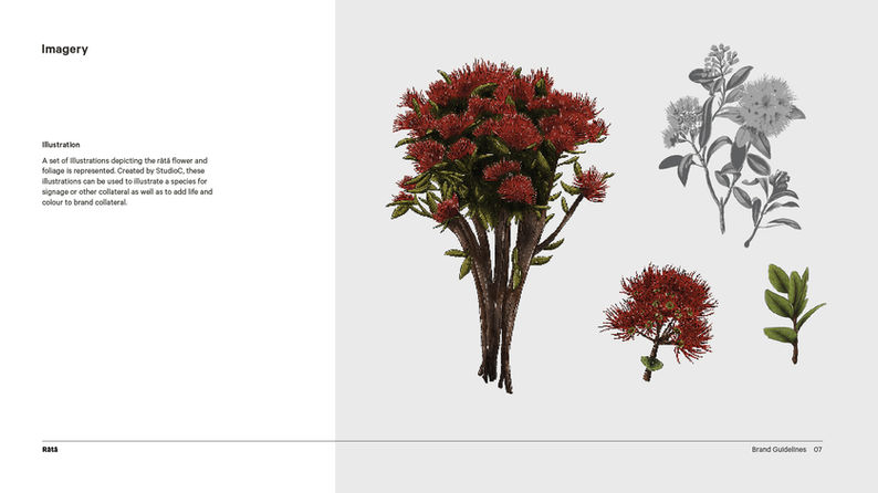 Rātā_2022_Brandguidelines-CS_Imagery .jpg
