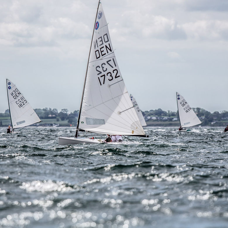 Forny Medlemskab & Personligt Sejlnummer