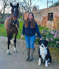Alice With a horse and dog