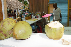 coconuts-1128225_1280.jpg