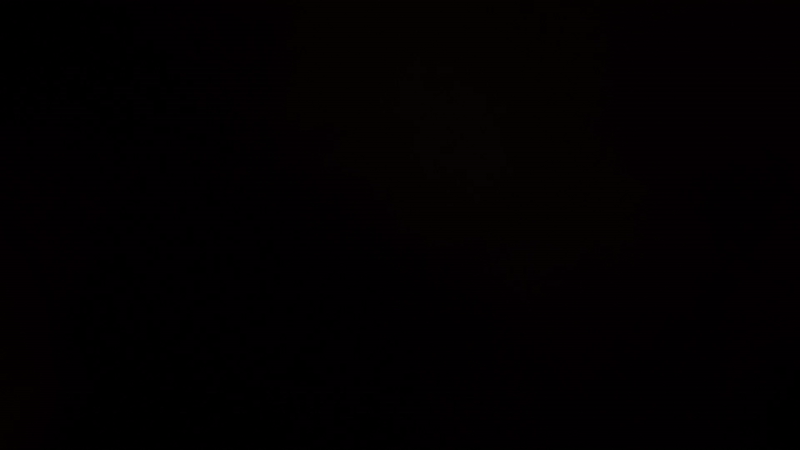 AnhingaSoundLogoreveal_02-ezgif.com-video-to-gif-converter.gif