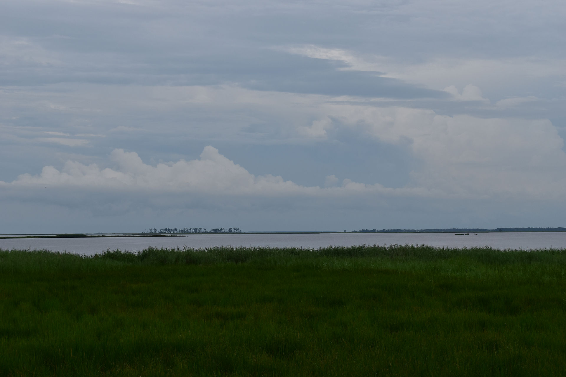 DSC_0185