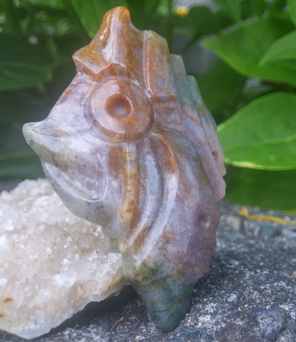 Colours Gone Shell