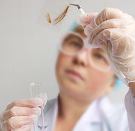 5-Panel Plus Extended Opiate Hair Test .jpg