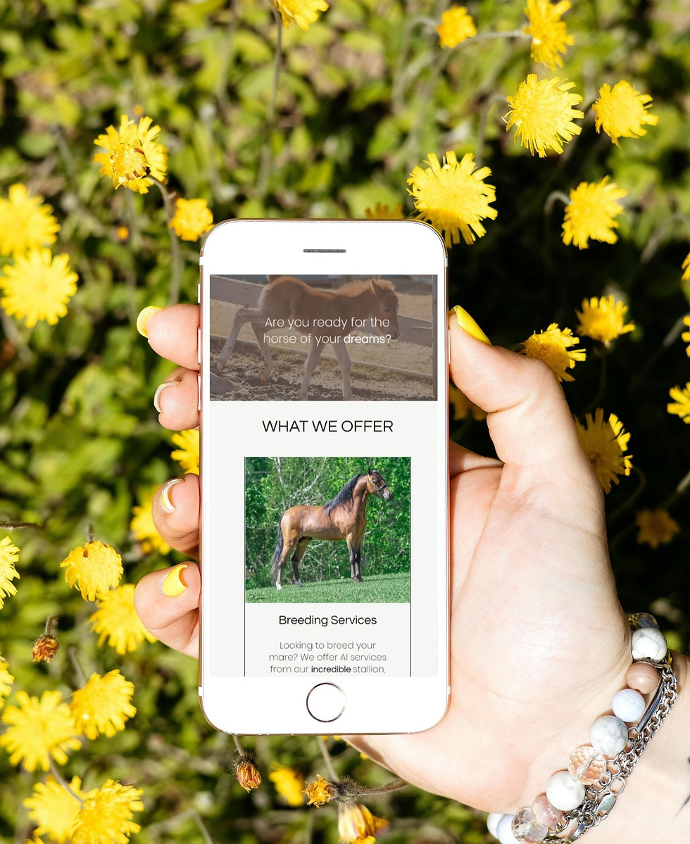 Equine Web Designer