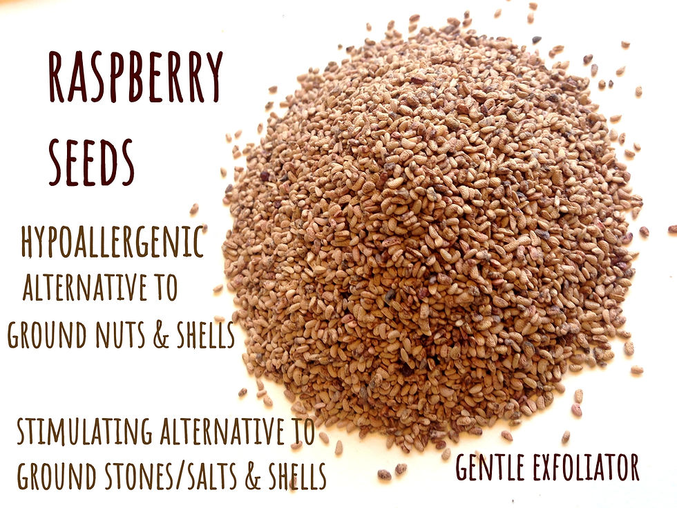 Thumbnail: Raspberry Seeds  Optional Suspending Base