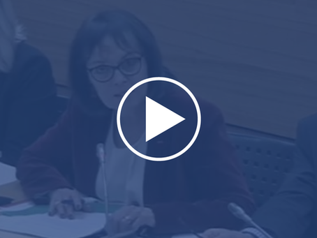 Intervention lors de la nouvelle lecture du PJL Notre-Dame de Paris